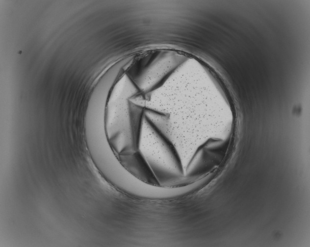 X0000113200809200910081250