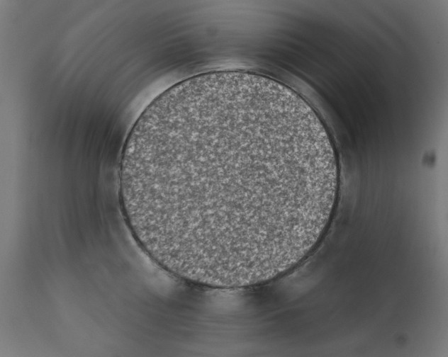 X0000113200810200910081250