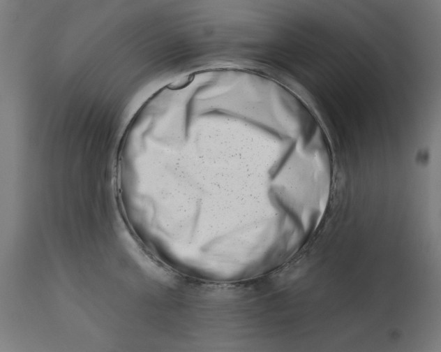 X0000113200811200910081250