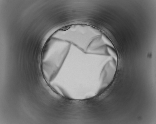 X0000113200812200910081250