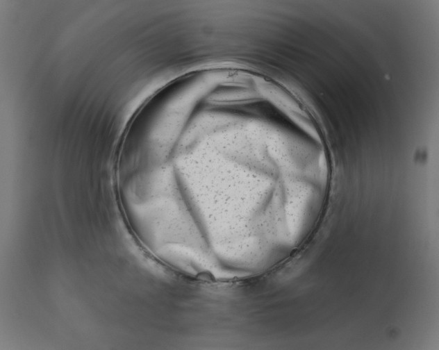 X0000113200813200910081250