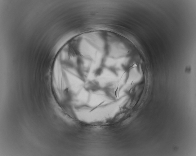 X0000113200814200910081250