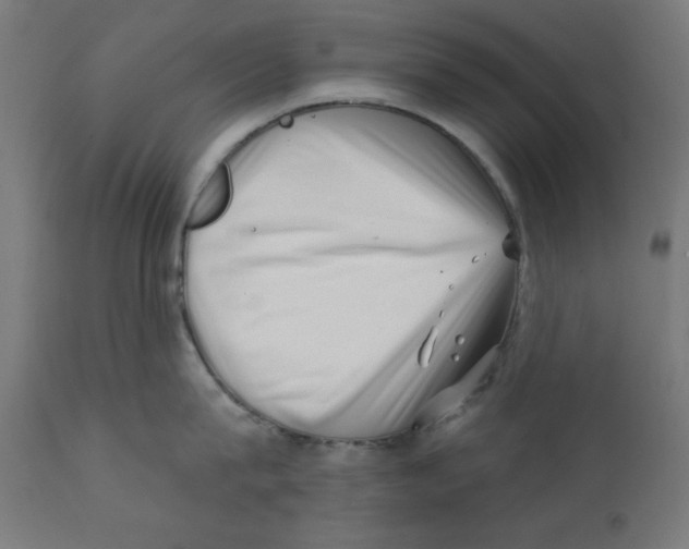 X0000113200815200910081250