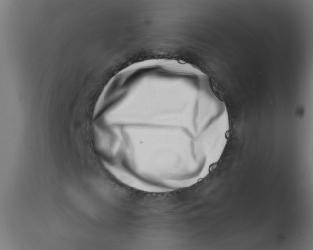 X0000113200817200910081249