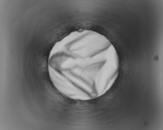 X0000113200818200910081249