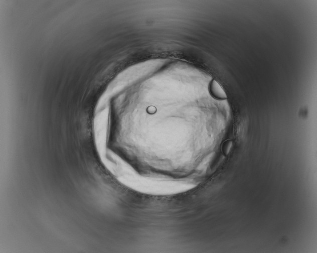 X0000113200819200910081249