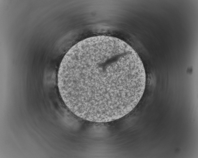 X0000113200820200910081249