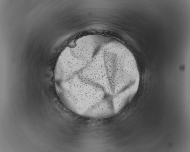 X0000113200822200910081249