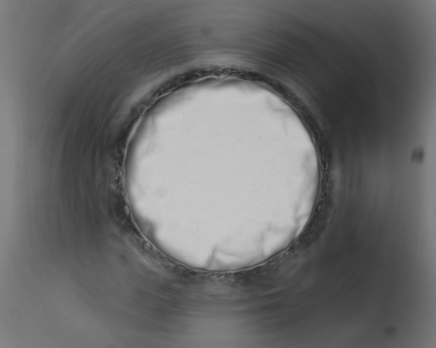 X0000113200823200910081249