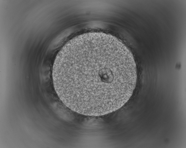 X0000113200824200910081249