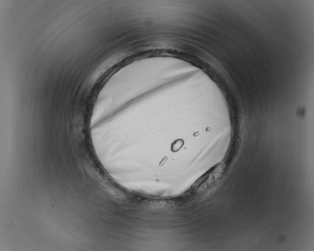 X0000113200826200910081249