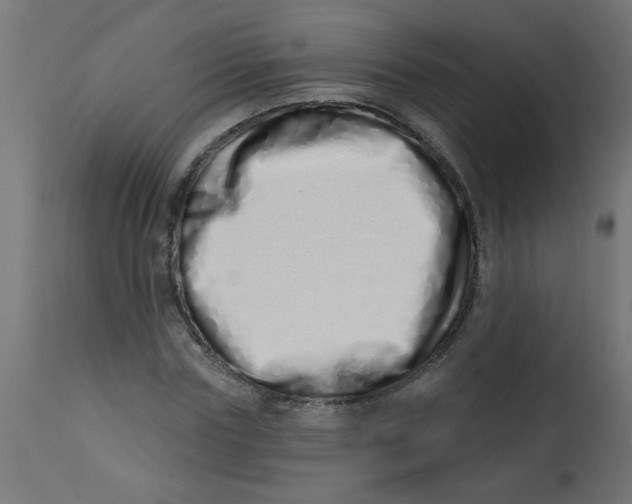 X0000113200827200910081249