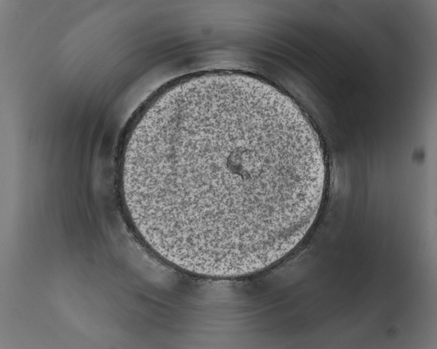 X0000113200828200910081249