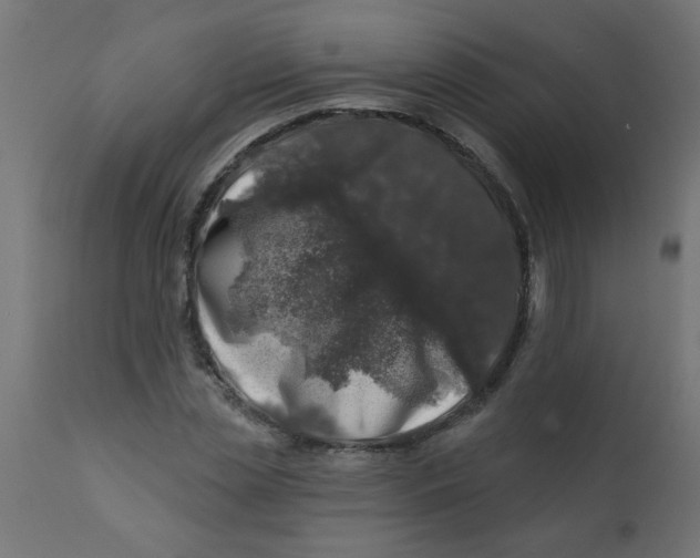 X0000113200829200910081249