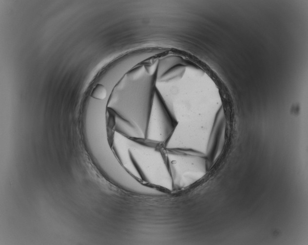 X0000113200832200910081249