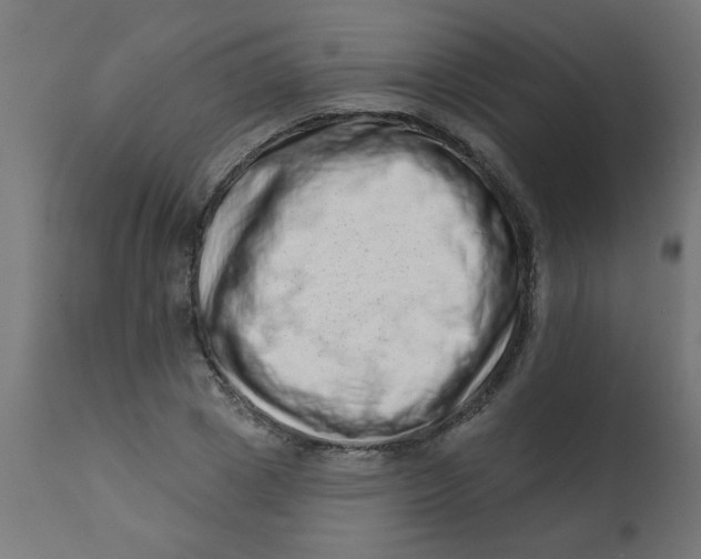X0000113200833200910081249