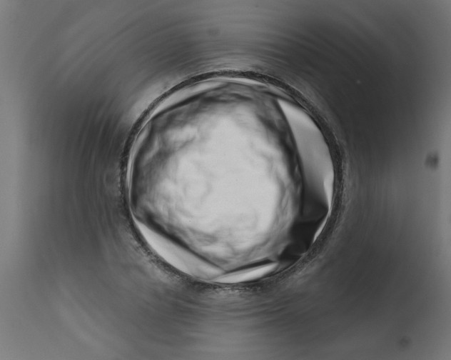 X0000113200834200910081249