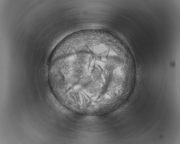 X0000113200835200910081250