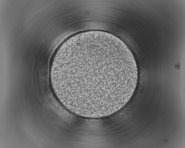 X0000113200836200910081250