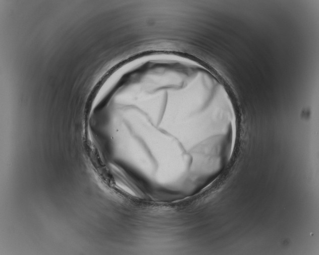 X0000113200837200910081250