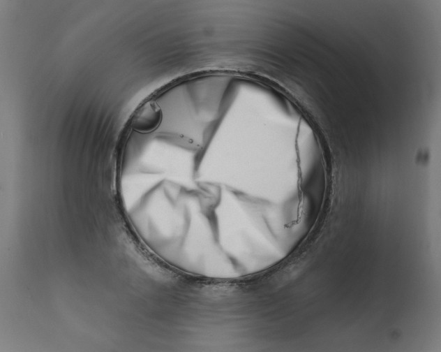 X0000113200838200910081250