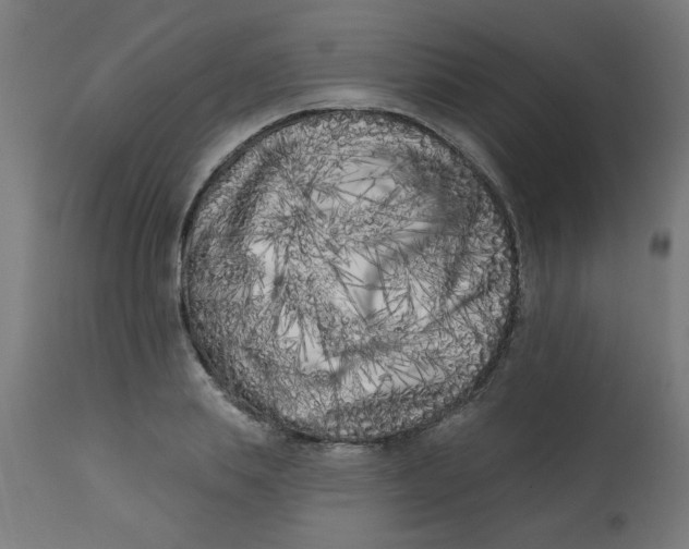X0000113200839200910081250