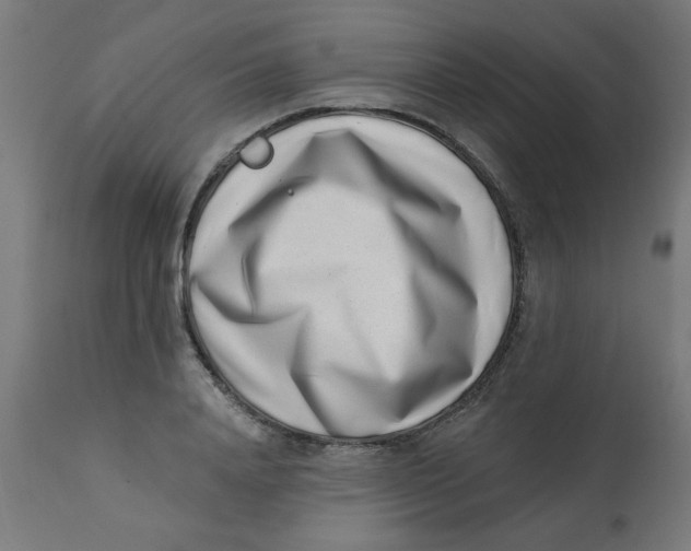 X0000113200840200910081250