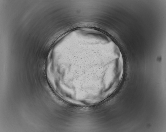 X0000113200841200910081250