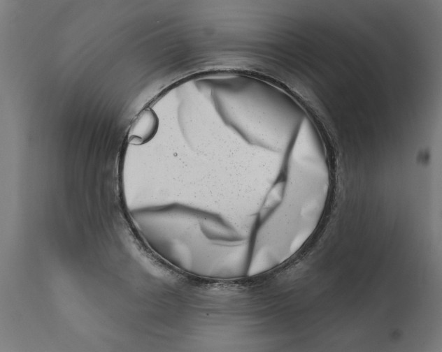 X0000113200842200910081250