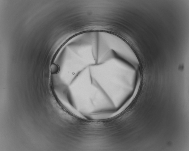 X0000113200844200910081250