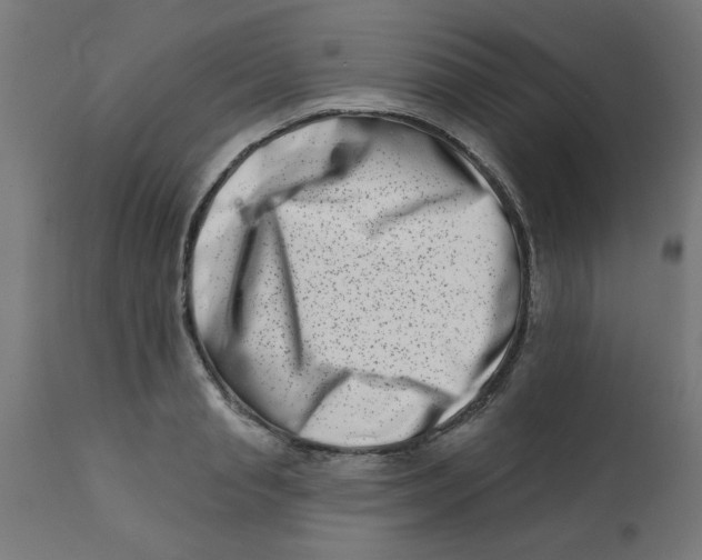 X0000113200845200910081250