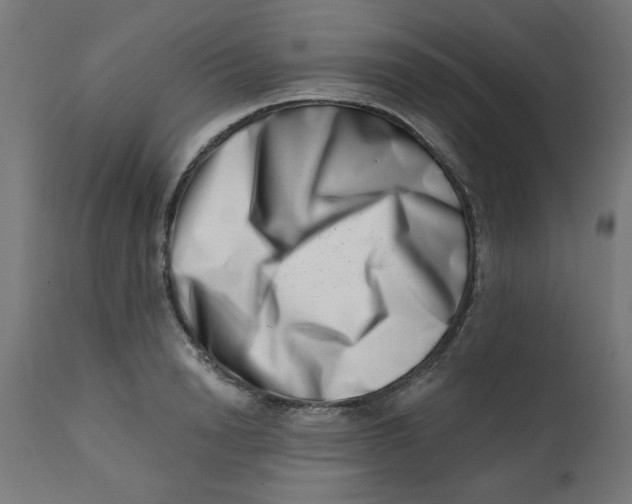 X0000113200846200910081250