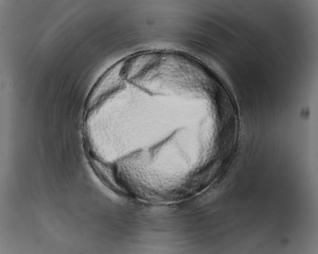 X0000113200847200910081250