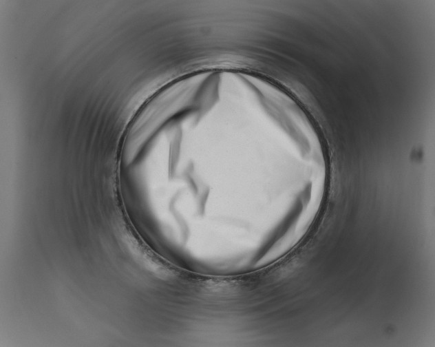 X0000113200850200910081250