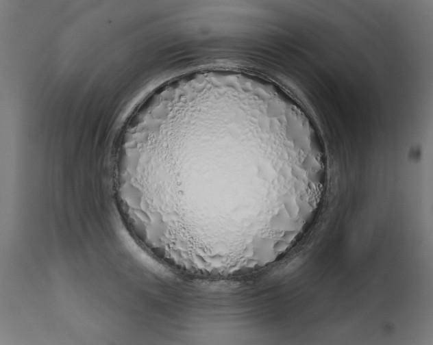 X0000113200851200910081250
