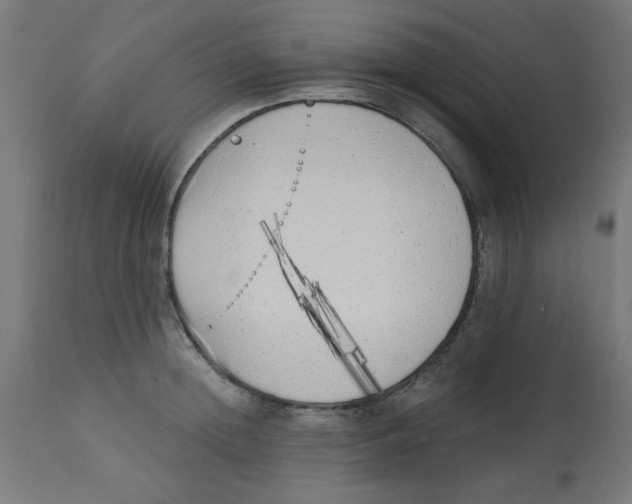 X0000113200852200910081250