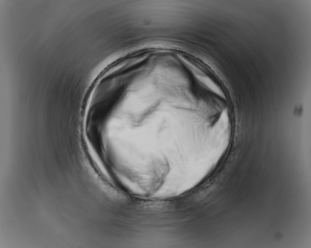 X0000113200853200910081250