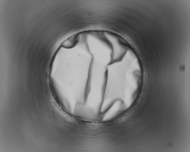 X0000113200854200910081250