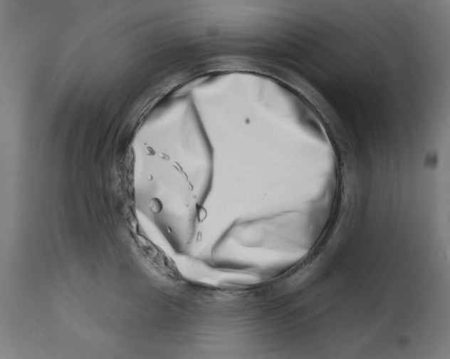 X0000113200857200910081250