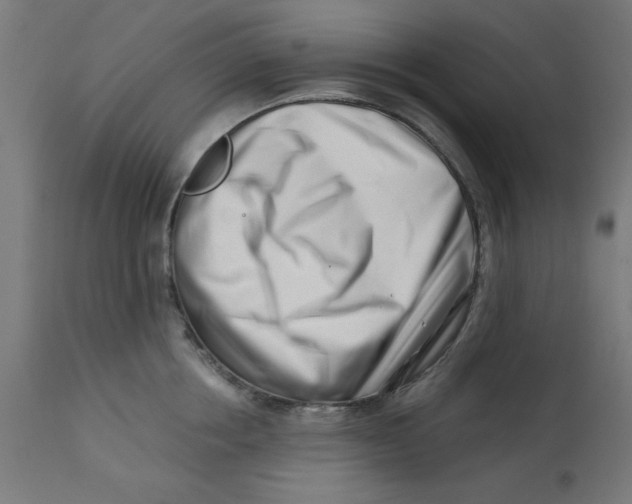 X0000113200858200910081250