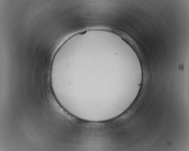 X0000113200860200910081250