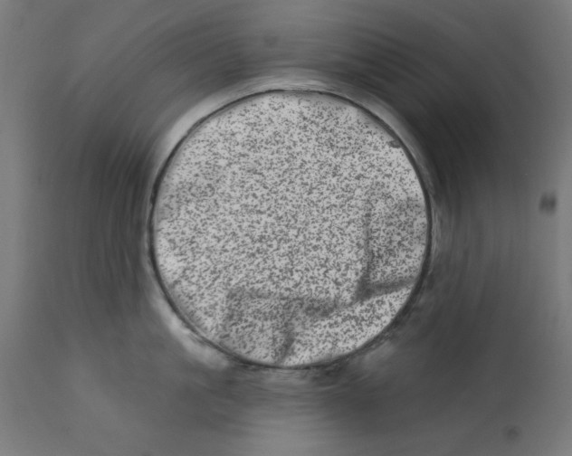 X0000113200861200910081250
