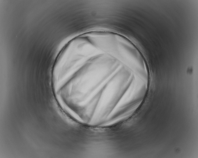X0000113200862200910081250