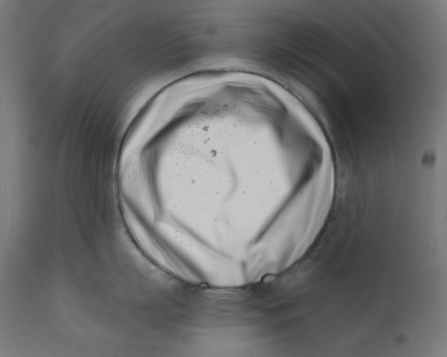X0000113200863200910081250