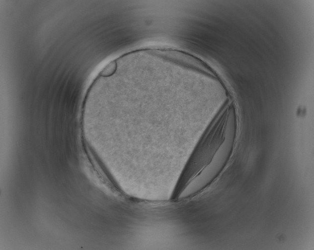X0000113200864200910081250