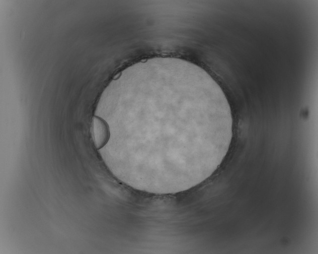 X0000113200865200910081249