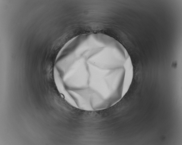 X0000113200866200910081249