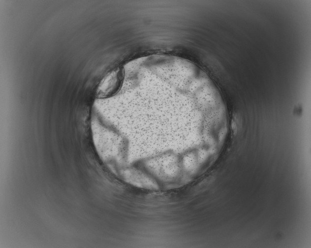 X0000113200867200910081249