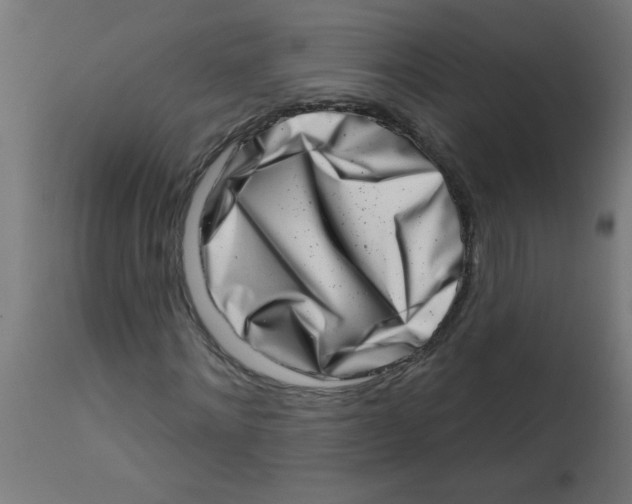 X0000113200868200910081249