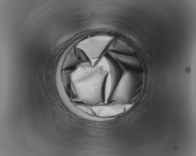 X0000113200869200910081249